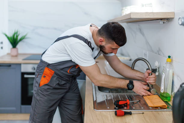 Best Emergency Plumbing Repair  in Ovid, MI
