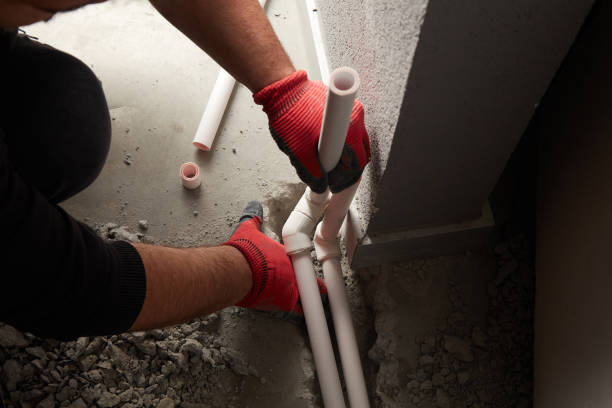 Best Local Plumber Services  in Ovid, MI