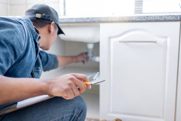 Best Toilet Repair Services  in Ovid, MI