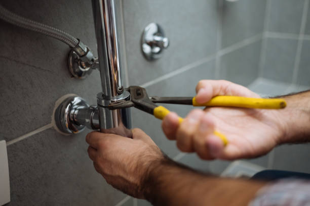 Best Hot Water Heater Installation  in Ovid, MI