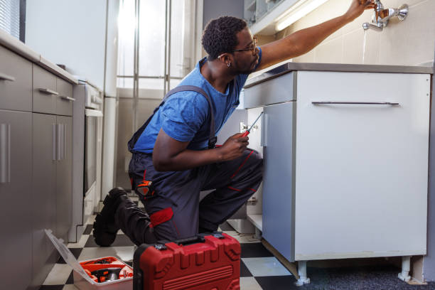 Best Sewer Cleaning Services  in Ovid, MI