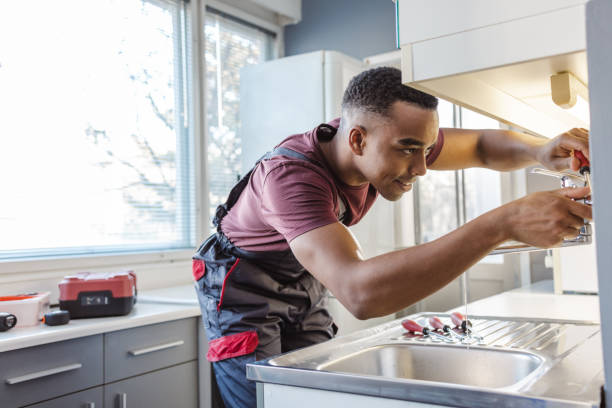 Best Best Plumbers Near Me  in Ovid, MI