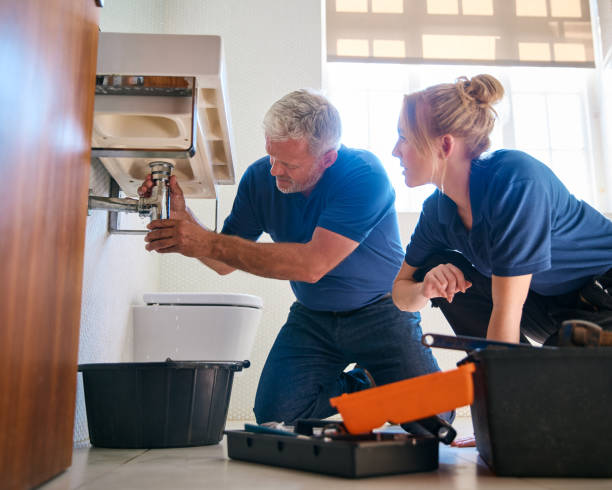 Best Clogged Drain Plumber  in Ovid, MI
